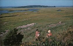 On the Island, Between Little Pleasant Bay and the Ocean, South Orleans, Cape Cod, Massachusetts Postcard