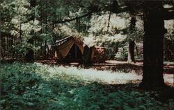 Camp Ehawee, Girl Scout Camp, Mindoro WI Postcard