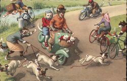 Cats and Dogs on Bikes and Scooter Postcard