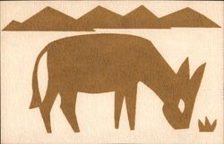 Donkey Grazing in Desert Landscape Postcard