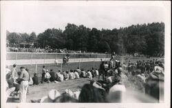 People Watching Horse Race Original Photograph