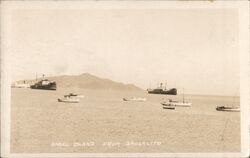 Angel Island from Sausalito San Francisco, CA Postcard Postcard Postcard