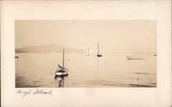 Angel Island Water View San Francisco, CA Postcard Postcard Postcard