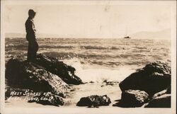 West Shores of Angel Island Postcard