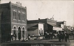 Street View, Horse Wagons Arcadia, NE New Brunswick Postcard Postcard Postcard