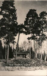 Old Timer's Cabin Itasca State Park Postcard