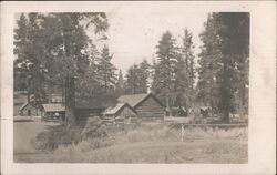 Log Cabins Amongst the Pines of Redlands, CA California Postcard Postcard Postcard