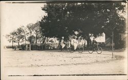 Three Cyclists on a Country Road Postcard