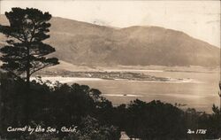 Panoramic view of lake Postcard