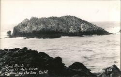 Bird Rock from 17 Mile Drive Carmel-By-The-Sea, CA Postcard Postcard Postcard