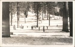 Skiing in the San Bernardino Mountains Postcard