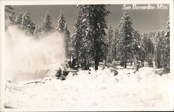 San Bernardino Mountains California Postcard Postcard Postcard