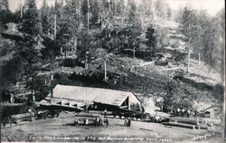 Early Day Lumbering in the San Bernardino Mountains - 1890s Postcard