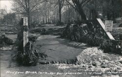 Meadow Brook Park -1938 Flood San Bernardino, CA McLaughlin Postcard Postcard Postcard