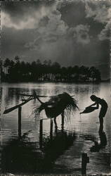 Tahiti Airline Advertising - Dugout Canoe Scene Postcard