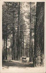 Big Bear Lake - Tree Lined Road with Old car California Postcard Postcard Postcard