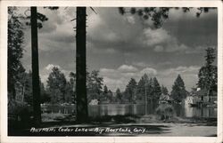 Bartlett's Cedar Lake Postcard