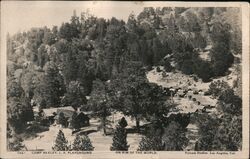 Camp Seely, L.A. Playground Postcard