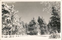 Lake Arrowhead in the Snow California Postcard Postcard Postcard