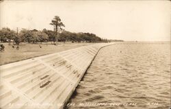 25-Mile Seawall on the Mississippi Gulf Coast Postcard