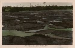 The Pitch Lake, La Brea Trinidad, British West Indies Caribbean Islands Postcard Postcard Postcard