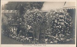 Italian Gardens "Benvenuto", Tod Inlet Virgin Islands TRIO Postcard Postcard Postcard