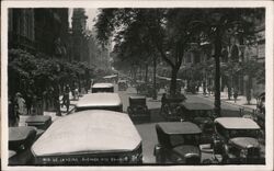 Avienda Rio Branco Postcard