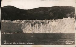 Face of Taku Glacier Postcard