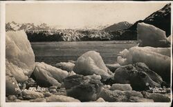 Muir Glacier Winteria Pond Postcard