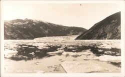 Taku Glacier Postcard