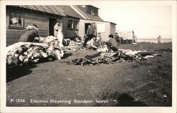 Eskimos Preparing Reindeer Hides Postcard