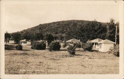 Pine Hill Cabins Postcard