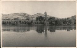 View of Vina Barros Negros San Javier, Chile Postcard Postcard Postcard