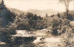 Bear River in Grafton Notch Postcard