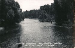 Trout Fishing - Ausable River Postcard