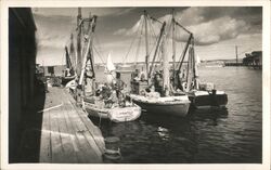 Fishing boats in harbor Postcard