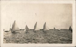 Sailboats on the water Postcard