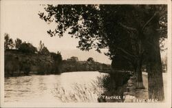 Truckee River Postcard