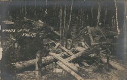 Woods in the Vosges Postcard