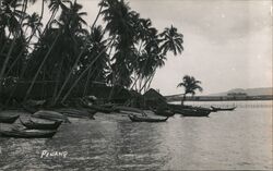 Boats on Ocean Shore Penang, Malaysia Southeast Asia Postcard Postcard Postcard