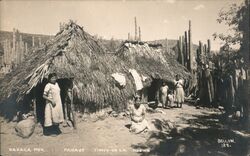 Paisaje Tipico De La Region Oaxaca, Mexico Bellon Postcard Postcard Postcard