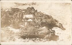 Burnt Bodies of Bandits, Border War Mexico Postcard Postcard Postcard