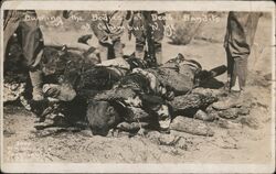 Burning the Bodies of Dead Bandits, Mexico Border War Postcard