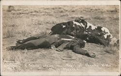 Dead Man & Horse: Scene Along Trail of Pancho Villa Mexico Postcard Postcard Postcard