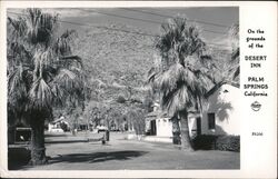 Desert Inn Palm Springs, CA Postcard Postcard Postcard