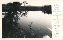 A pet at Seaton's. Mile 1235, Alaska Highway Postcard