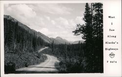 What I Saw Along Alaska's Highway Postcard