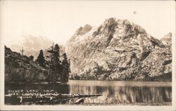 Silver Lake Near Cherokee Lodge June Lake, CA Postcard Postcard Postcard