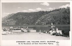 Strawberry Lake California Postcard Postcard Postcard