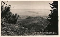 View from the East Rim - Kaibib National Forest Pomona, CA Postcard Postcard Postcard